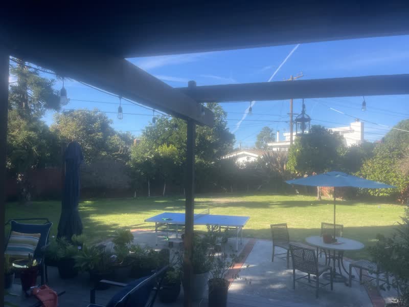 The real backyard, photographed on a phone